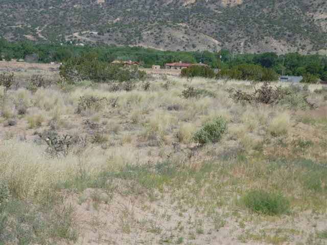 Tract C C-1-A-1-A OF COTTONWOOD  