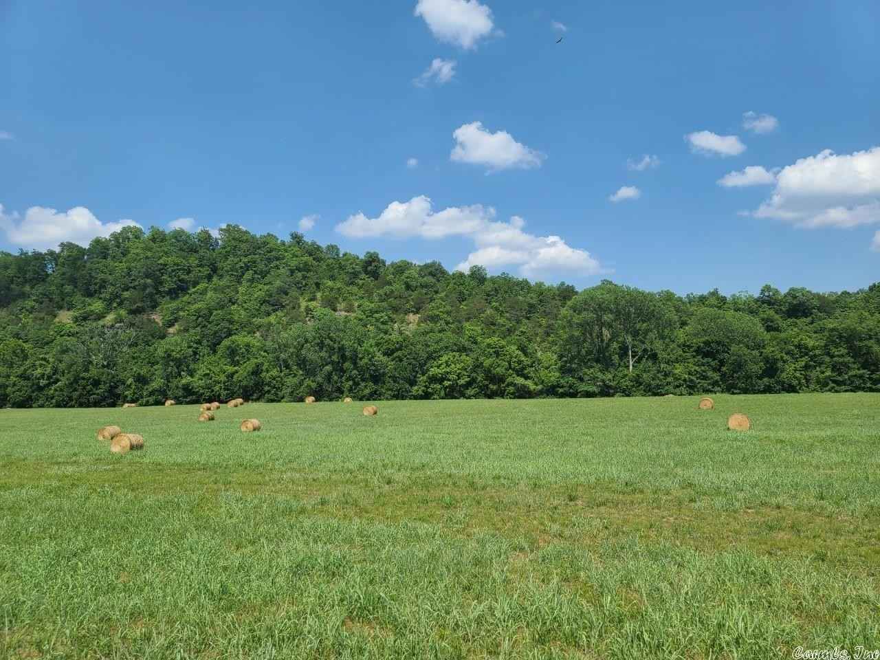 Lot 54 Joe Baker Rd  