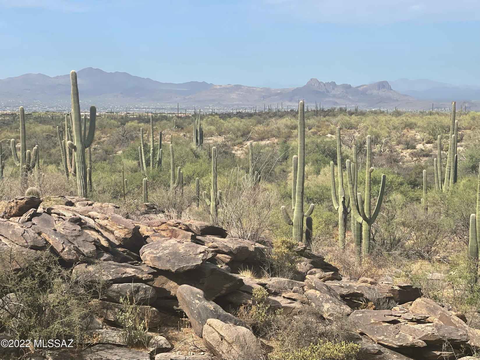 13661 N Hidden Rock Pl  