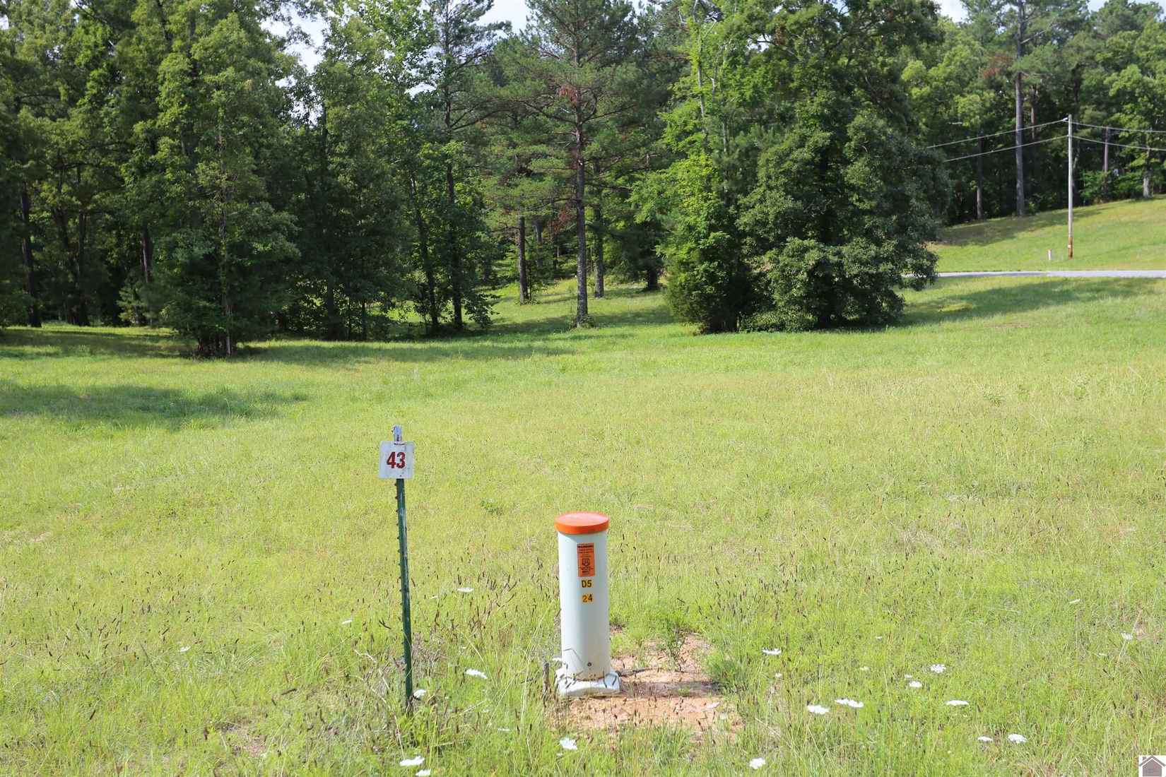 Lot Unit 43 Pine Vw Dr  