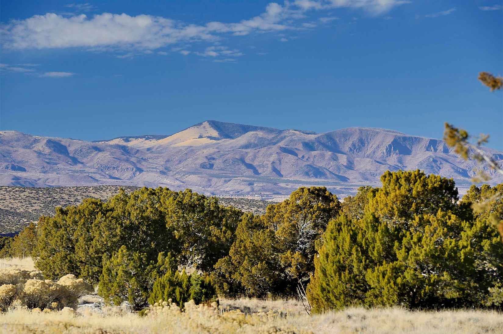 10 Campo Rancheros Lot 66  