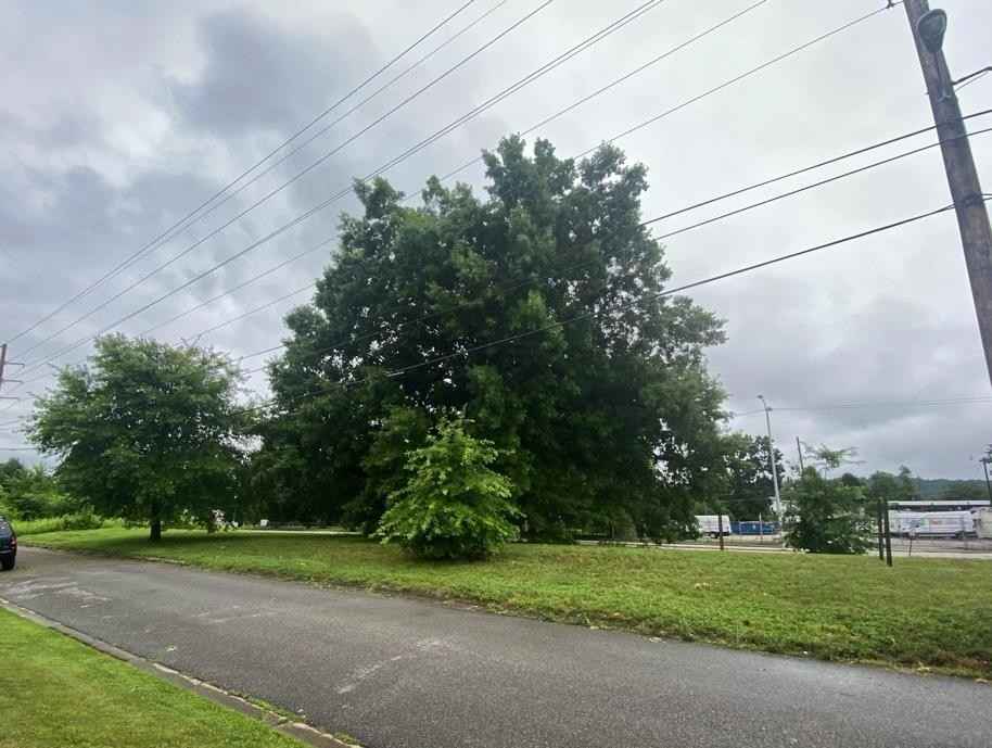 1 Waverly Rd  