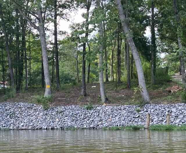 Lot 44 County Rd 513  