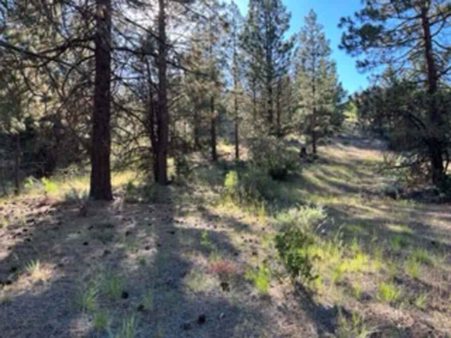 Lot 32 Wilderness Way  
