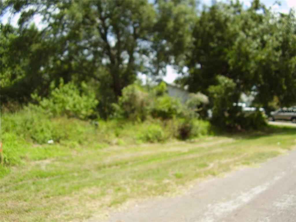 431 DOVE Dr  