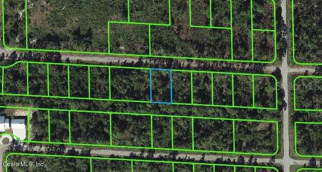 3410 Sandhill Crane Ave  