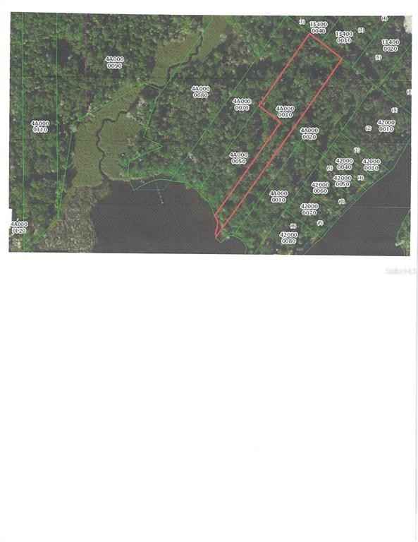 12593 THE HOMOSASSA Riv  