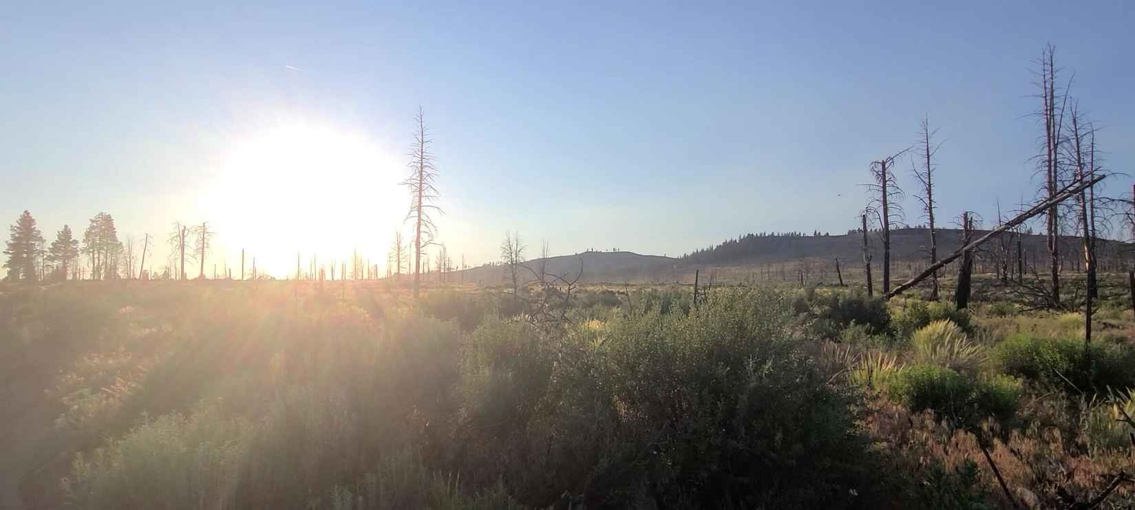 Lot 36 Mountain Quail Ln  