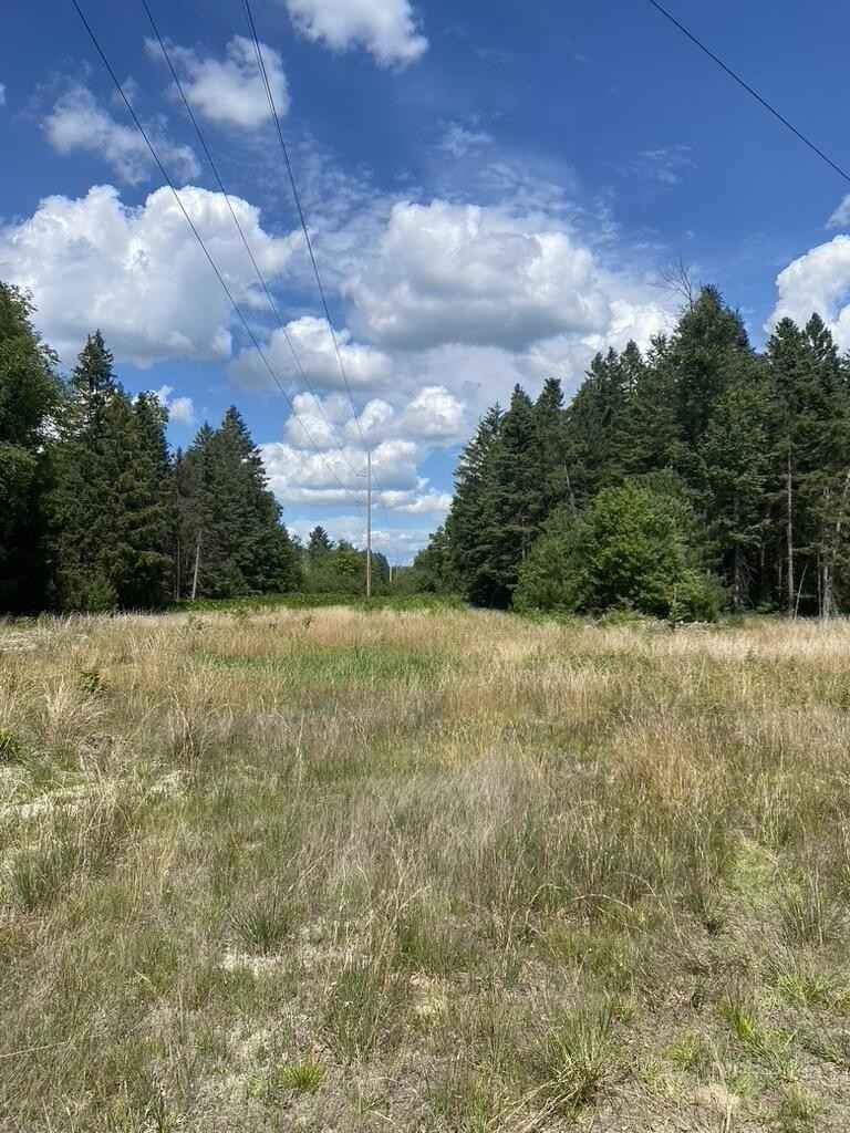 40 Acres 9 Mile  