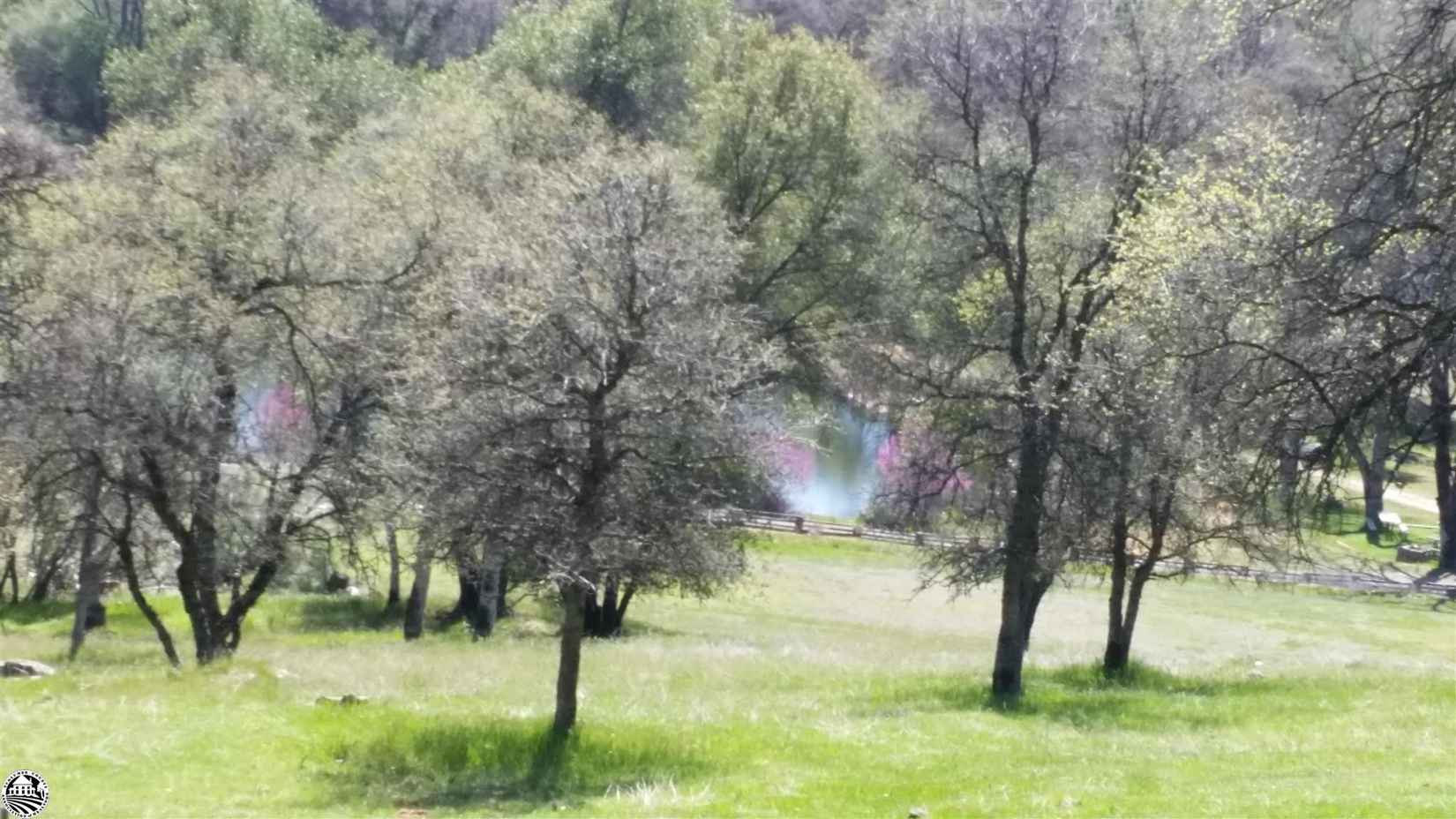 21500 Paseo de los Portales  