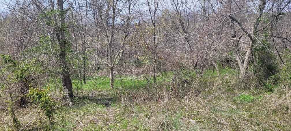 Lot 6 TBD Northview Rd  
