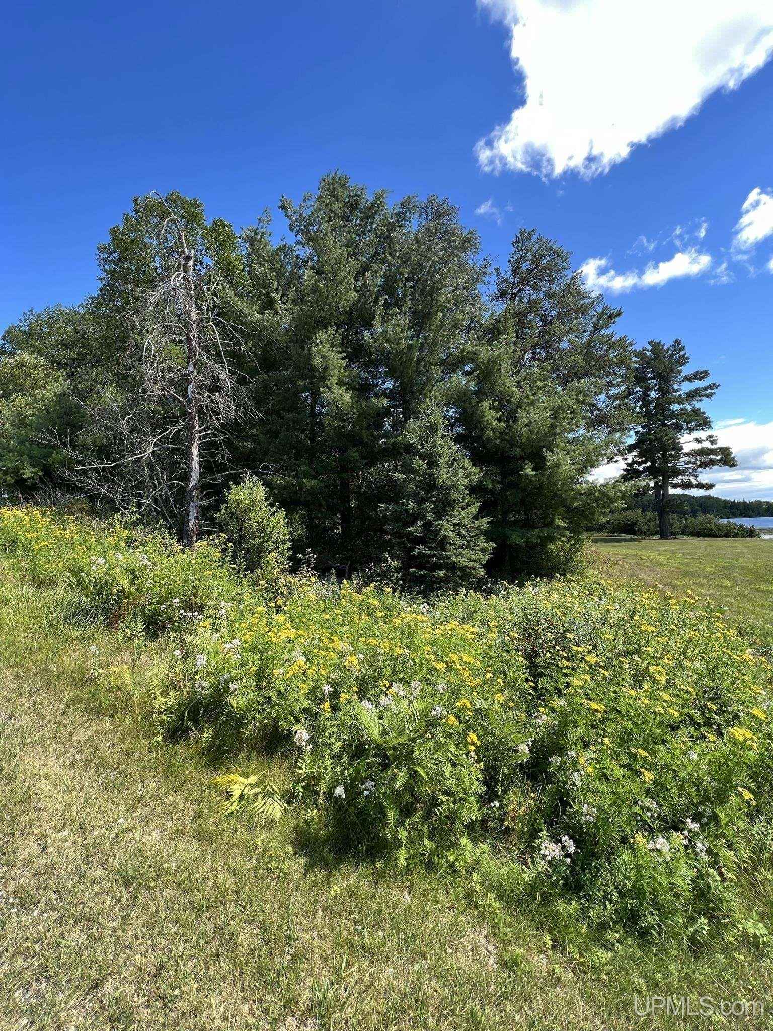 TBD Lot 4 Riverhills RD  