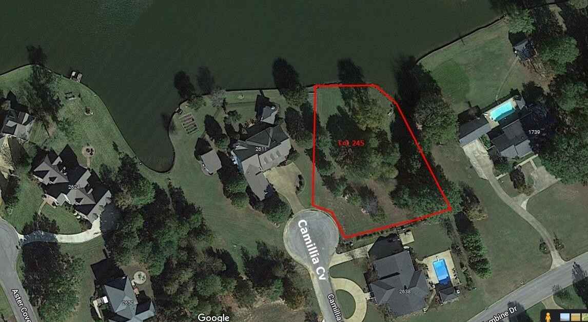 Lot 245 Spring Lake (Camellia Cv)  