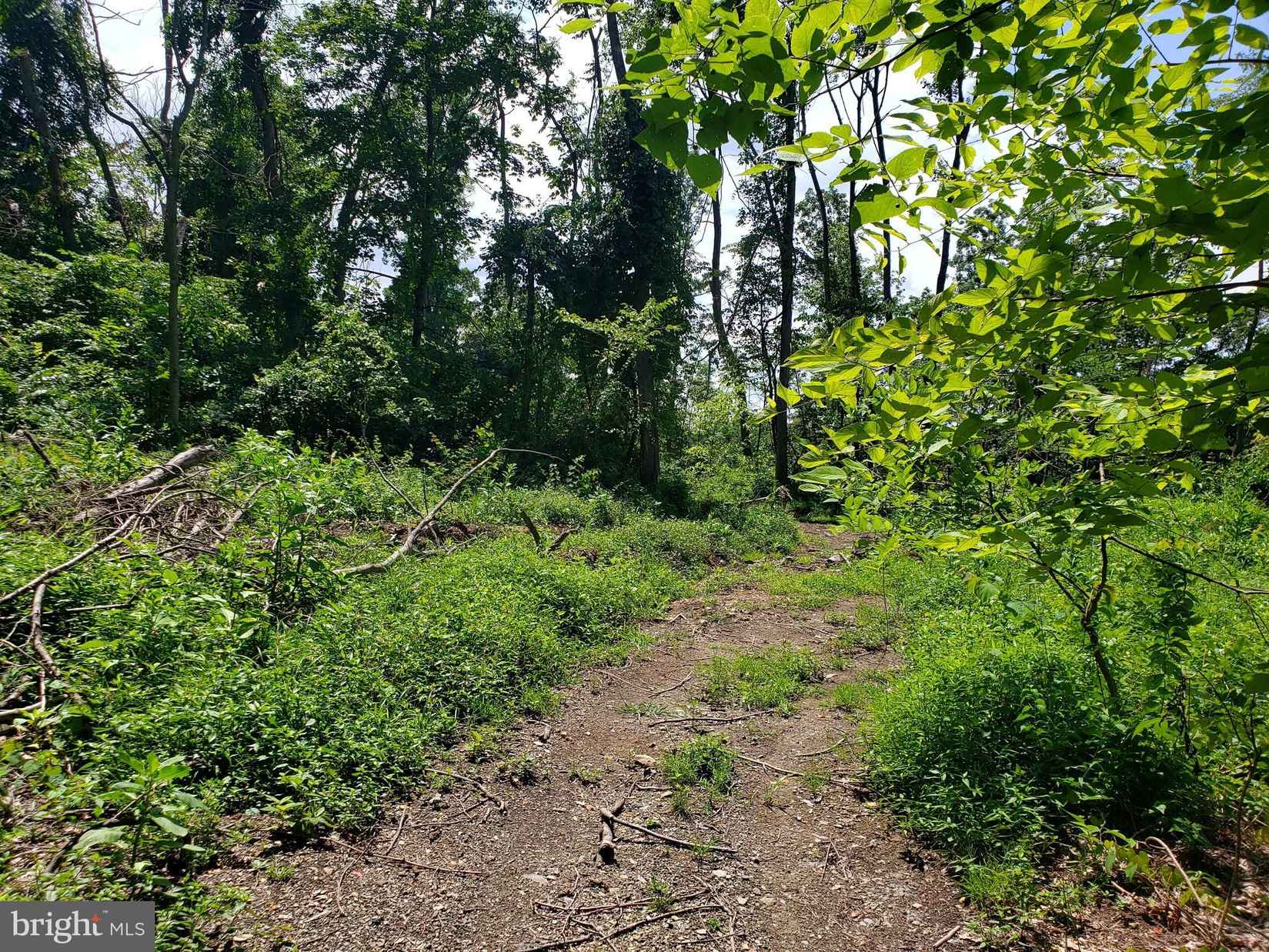 Lot 19 W Mtn RD  