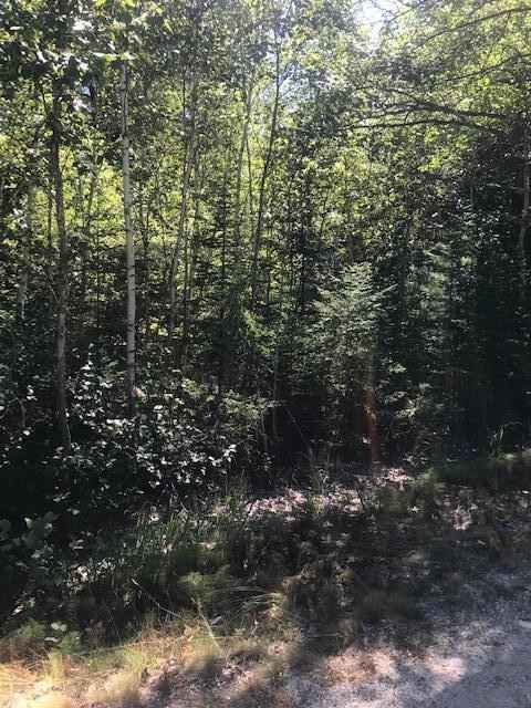 0 Willey District Rd  