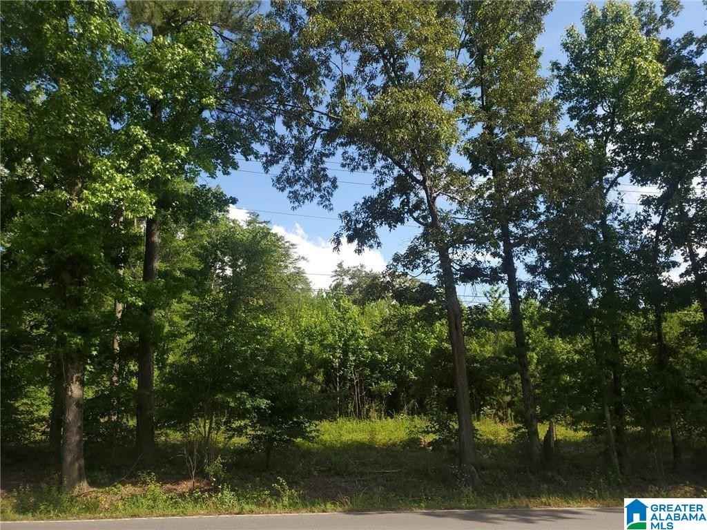 00 Hwy 216  