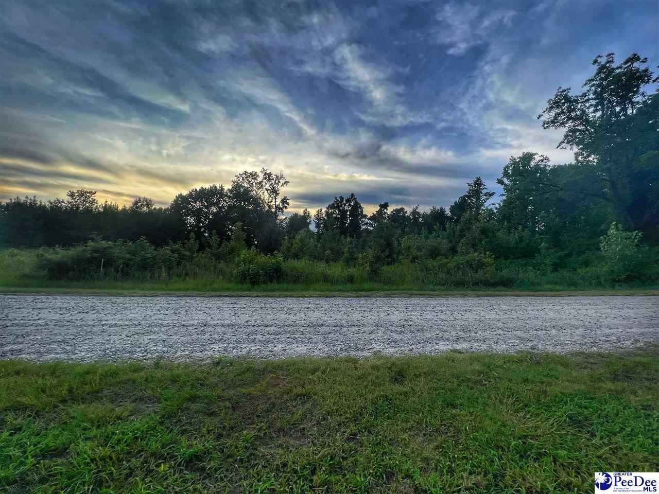 Lot 14 S McLaurin Lk Cir  