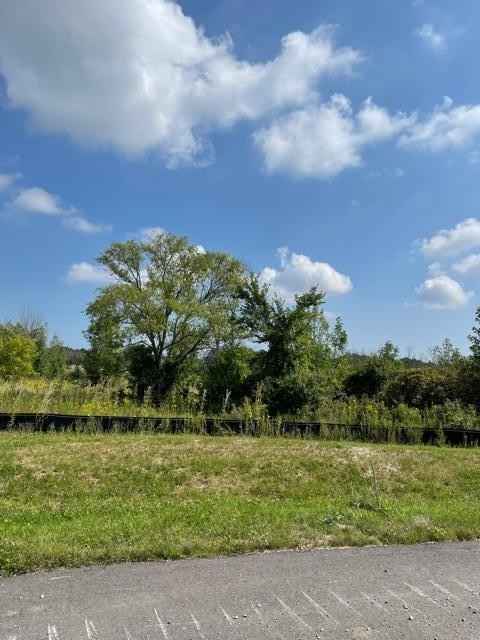 W176n7276 Raw Amber Ct  