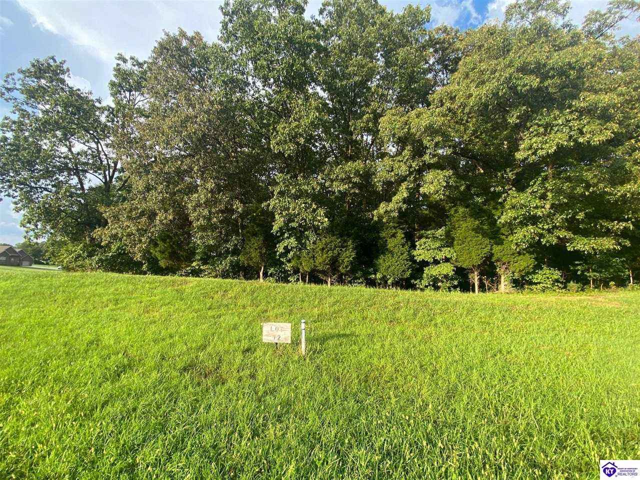 LOT 12 Unit 2 Chinoe  