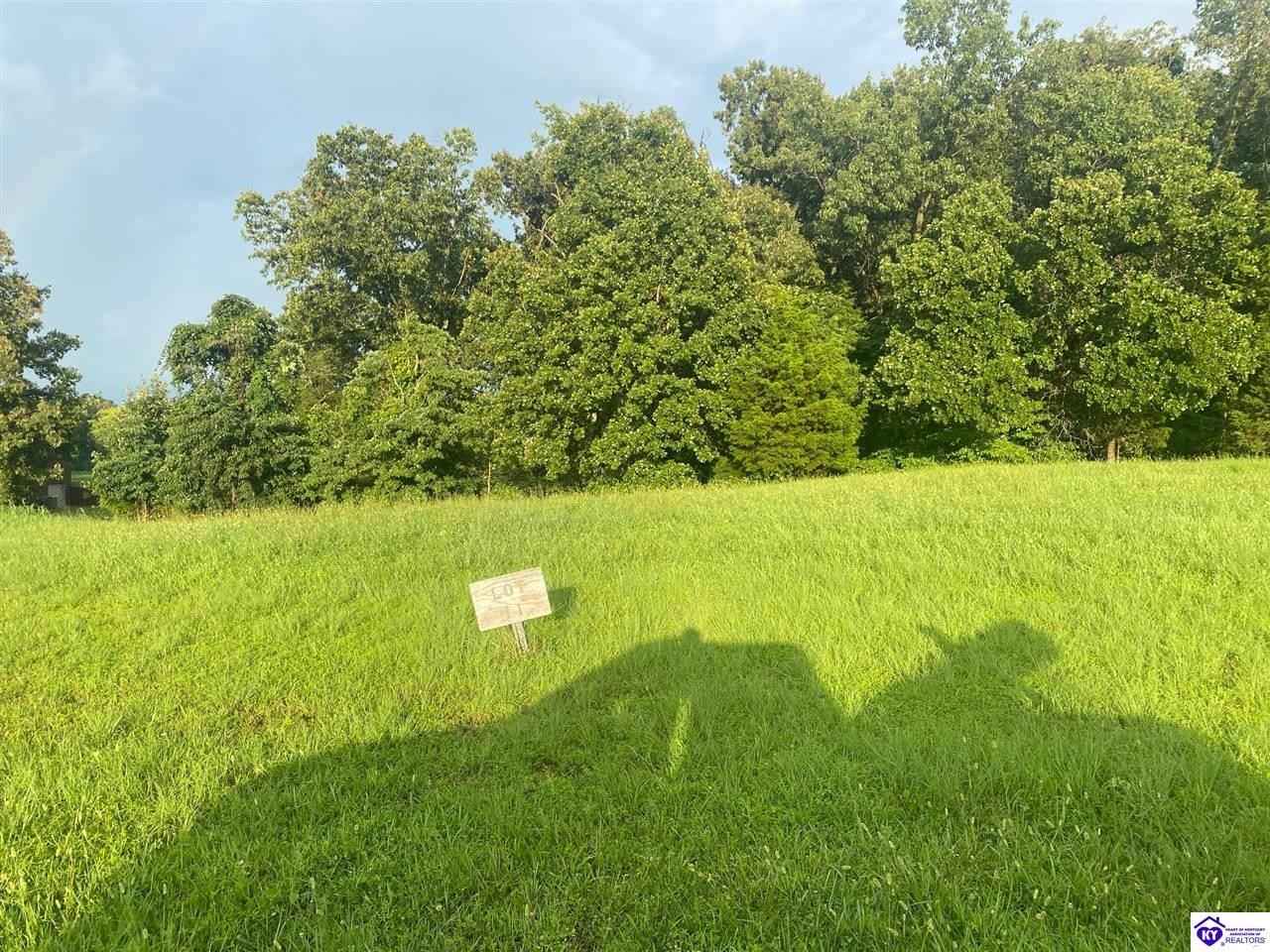 LOT 11 Unit 2 Chinoe  