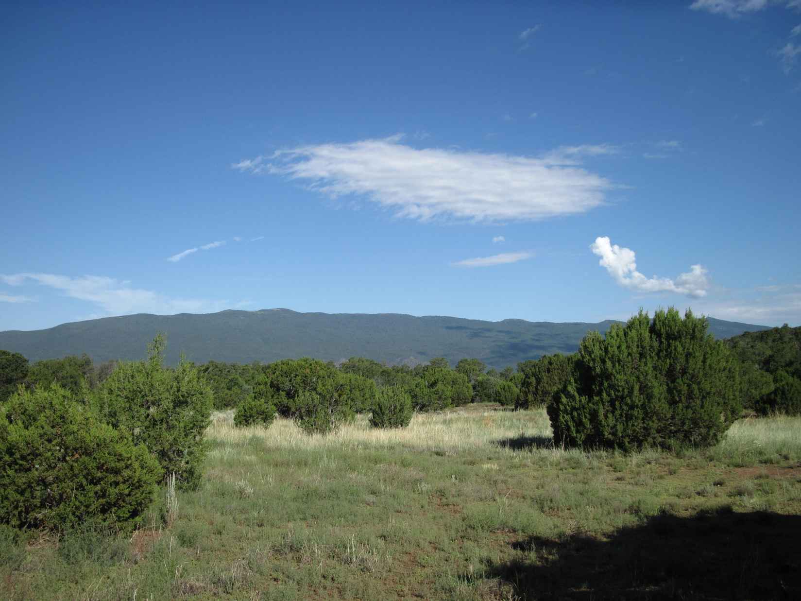 500 FOREST RD 462  