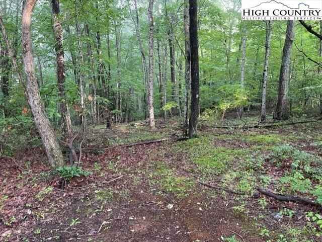 Lot Unit 18 Tbd Mountain Shadows RD  