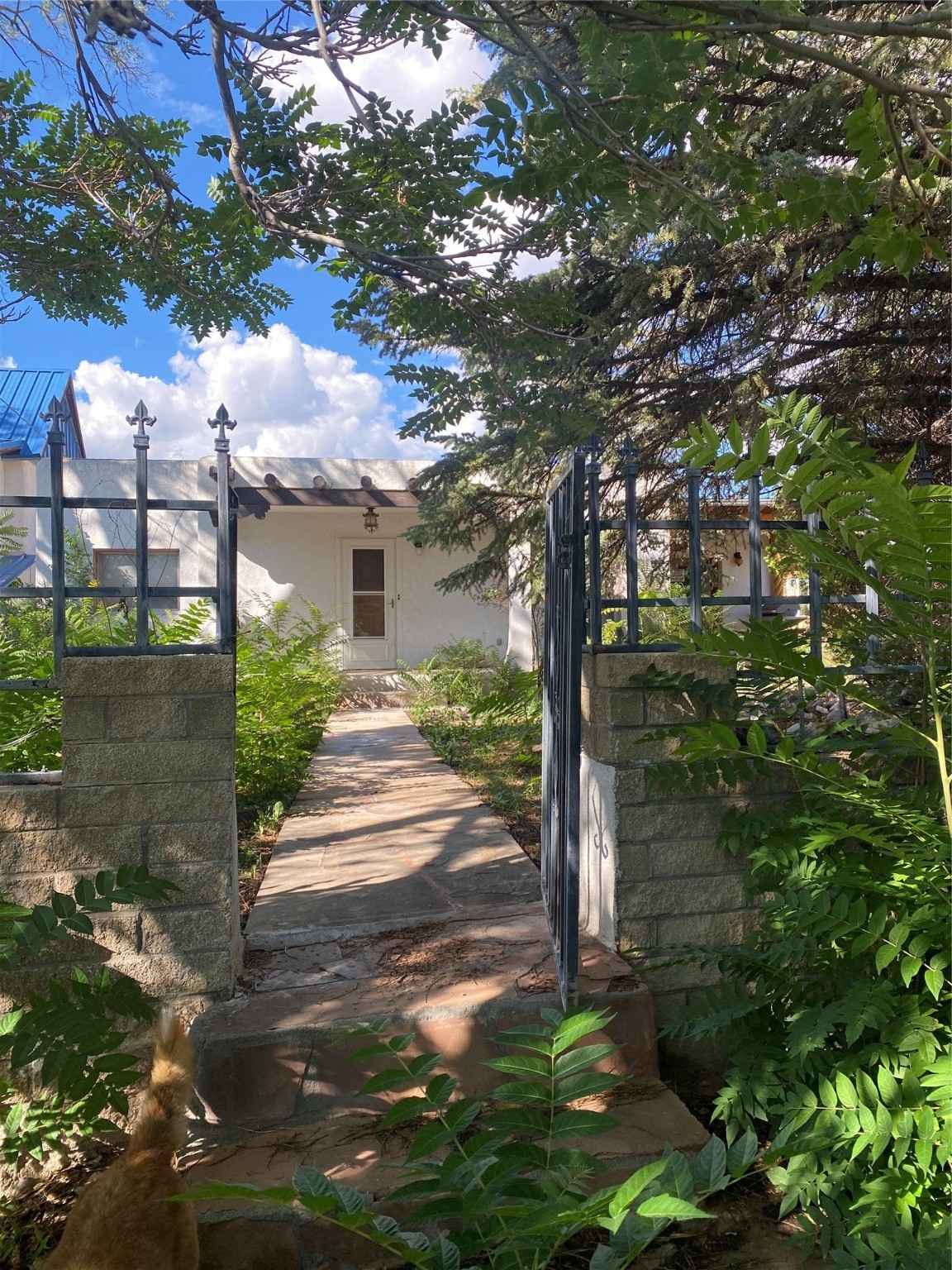 17 Los Banos Dr  