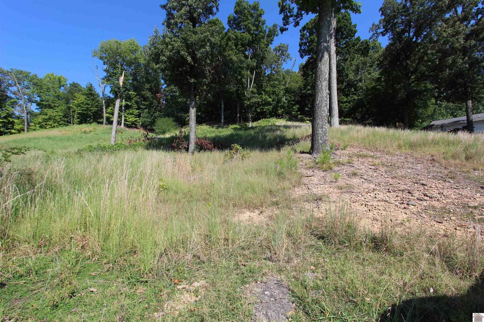 LOT 12 HOLLY Ln  