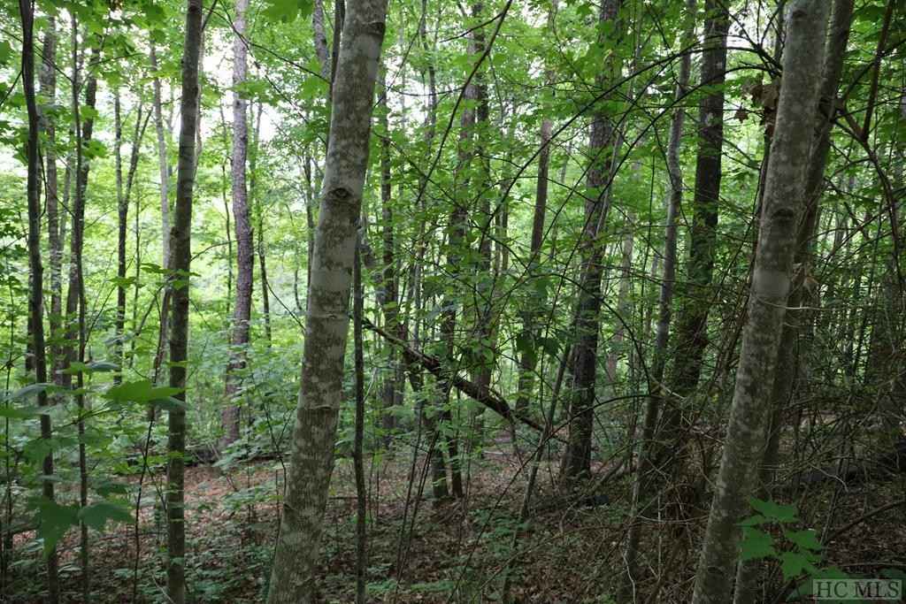 0 Lowland Glade Dr  