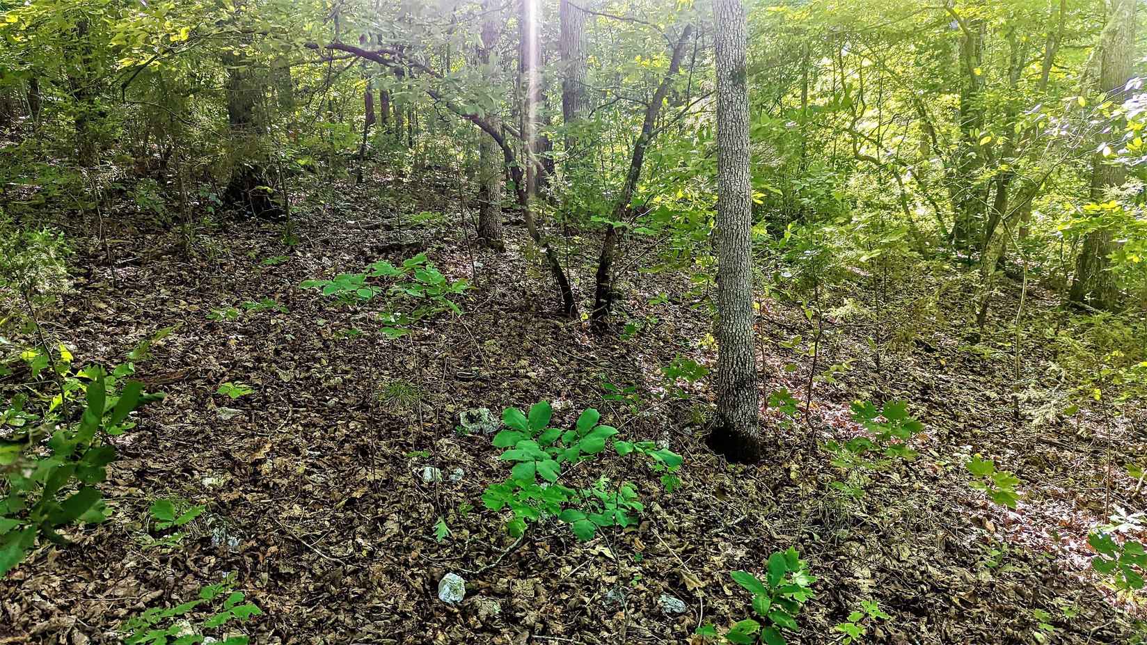 Lot 5 Silvercliff Way  