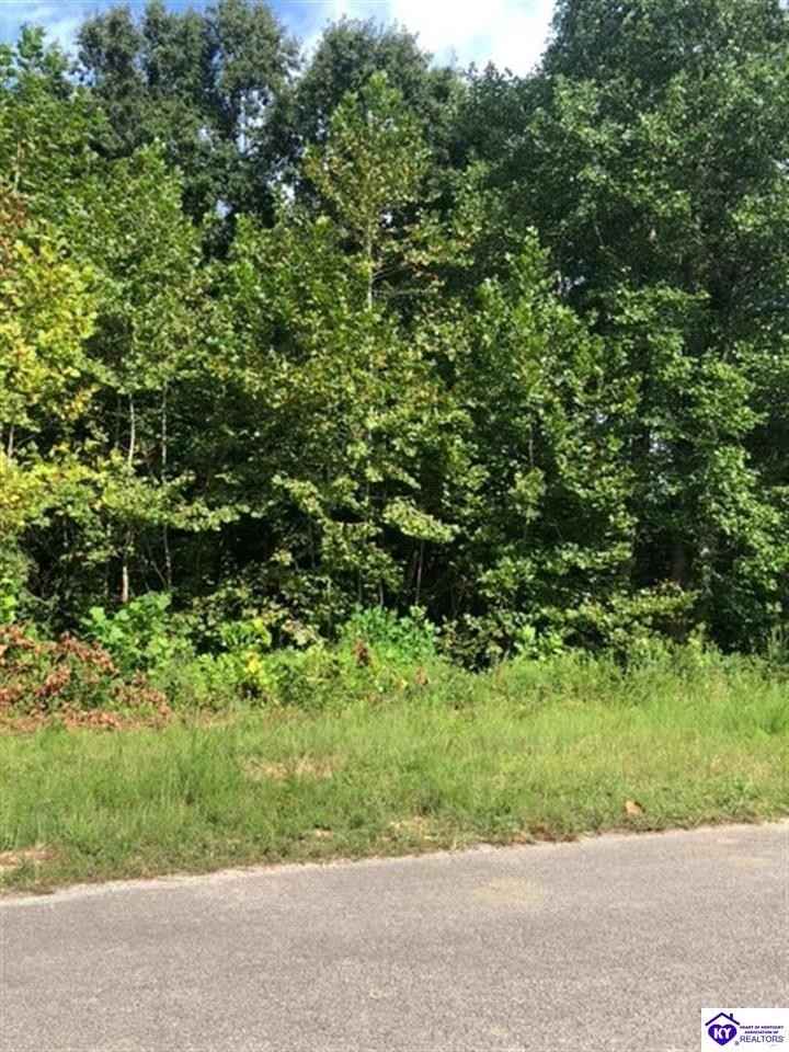 Lot 45 Ferndale Dr  
