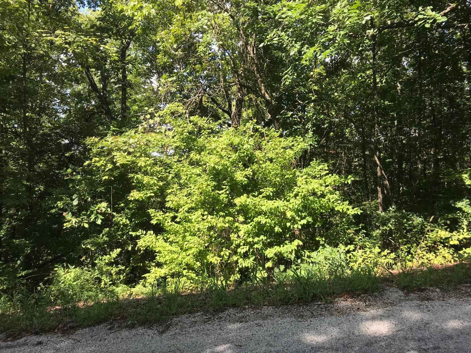 Lot 255 Sharay Cir  