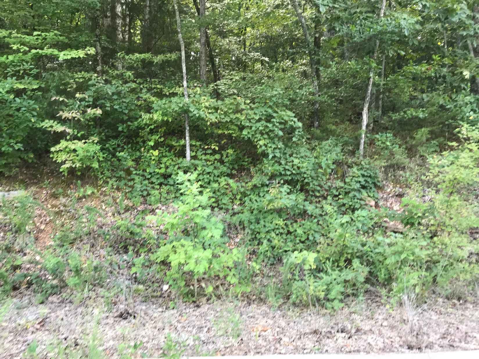 Lot 214 Bayview Dr  
