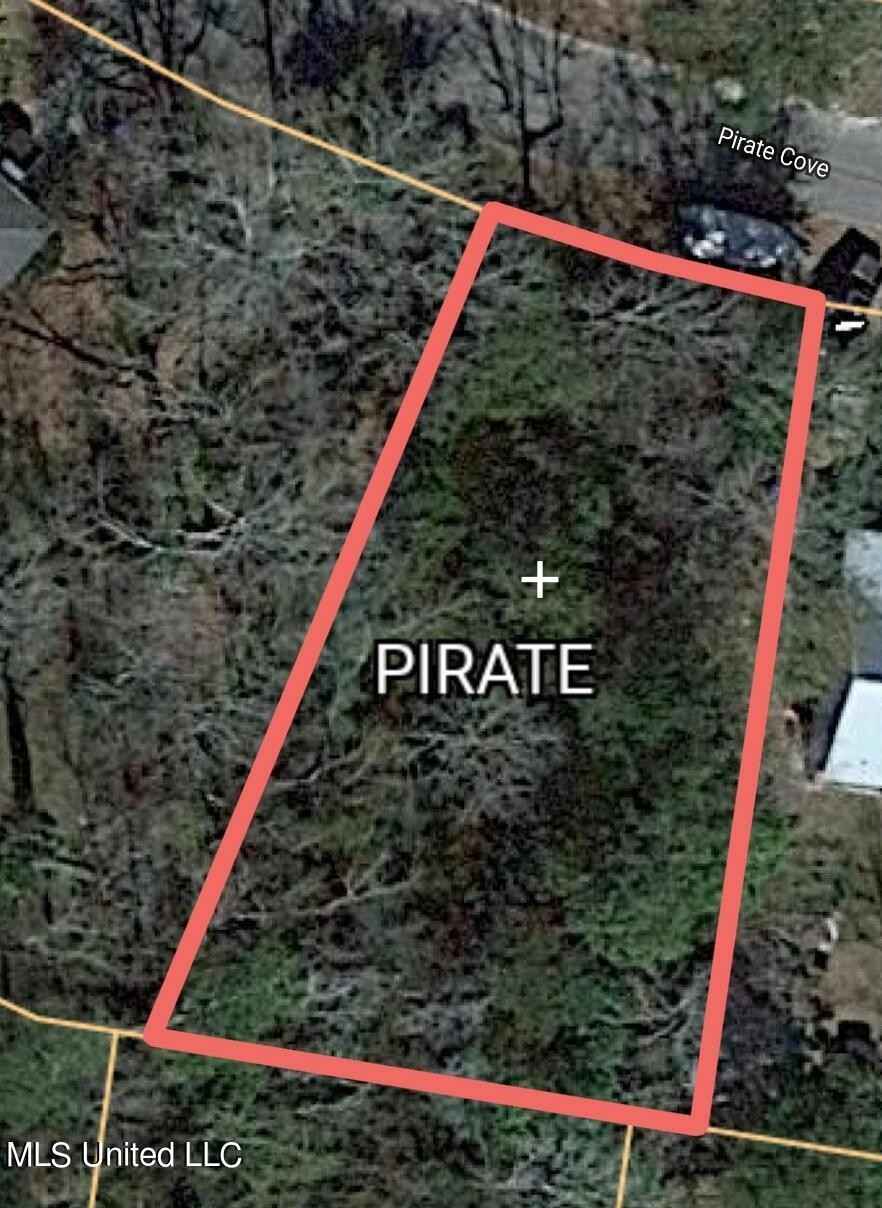 0 Pirate Cv Cv  
