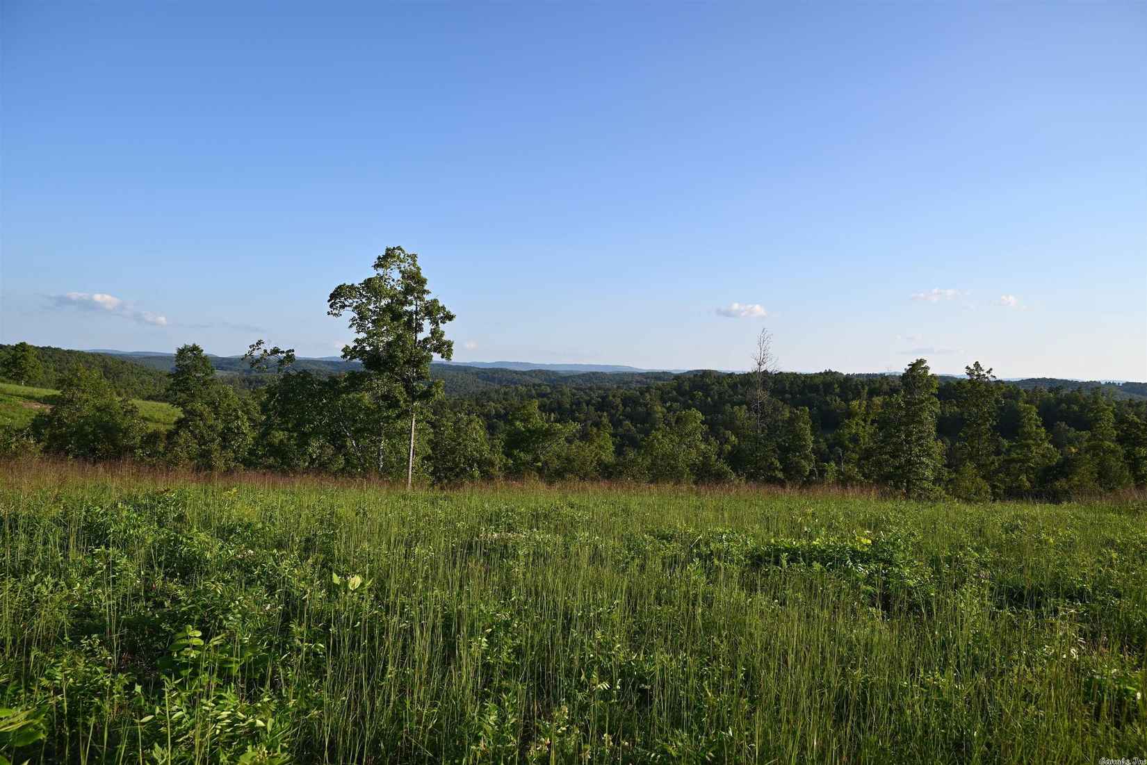 3681 TOMAHAWK SLAB RD  