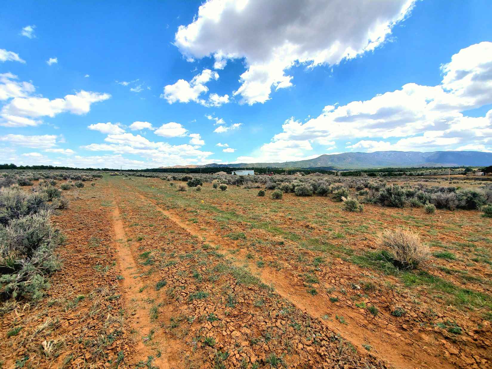 24 Lots San Pedro Ests  