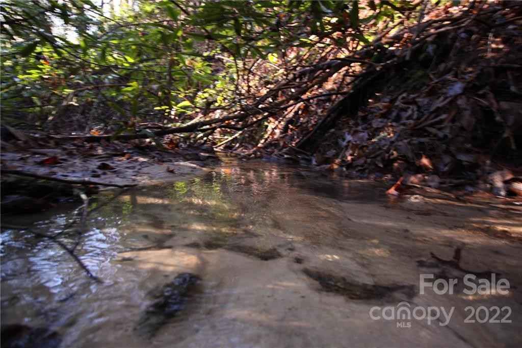 Lot 19 Gastons Bee Gum Rd  