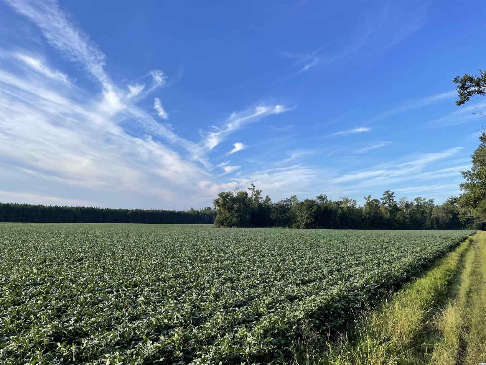 59 ac Old Georgetown Rd  