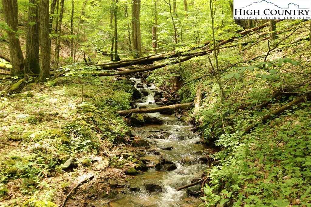 Lot 65 Madisyn Oaks Ln  