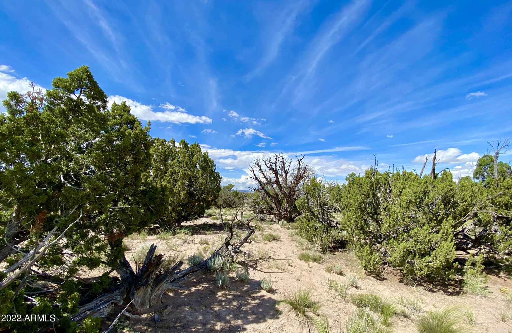 Tbd N 6112 Parcel 4 --  