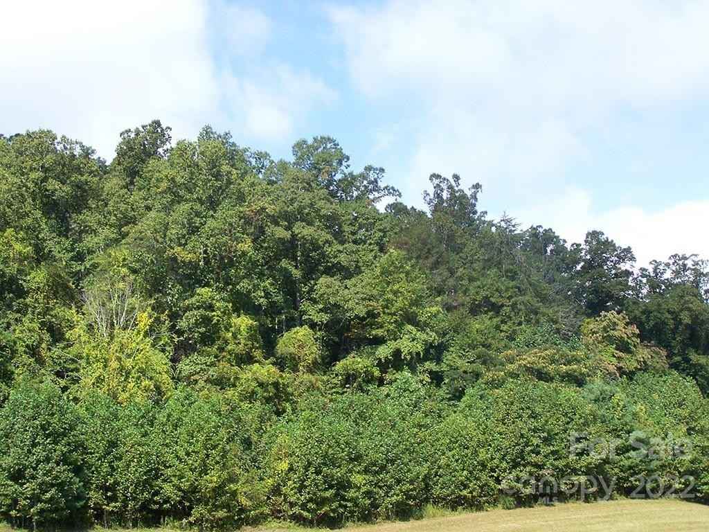 Lot 11 Running Deer Ln  