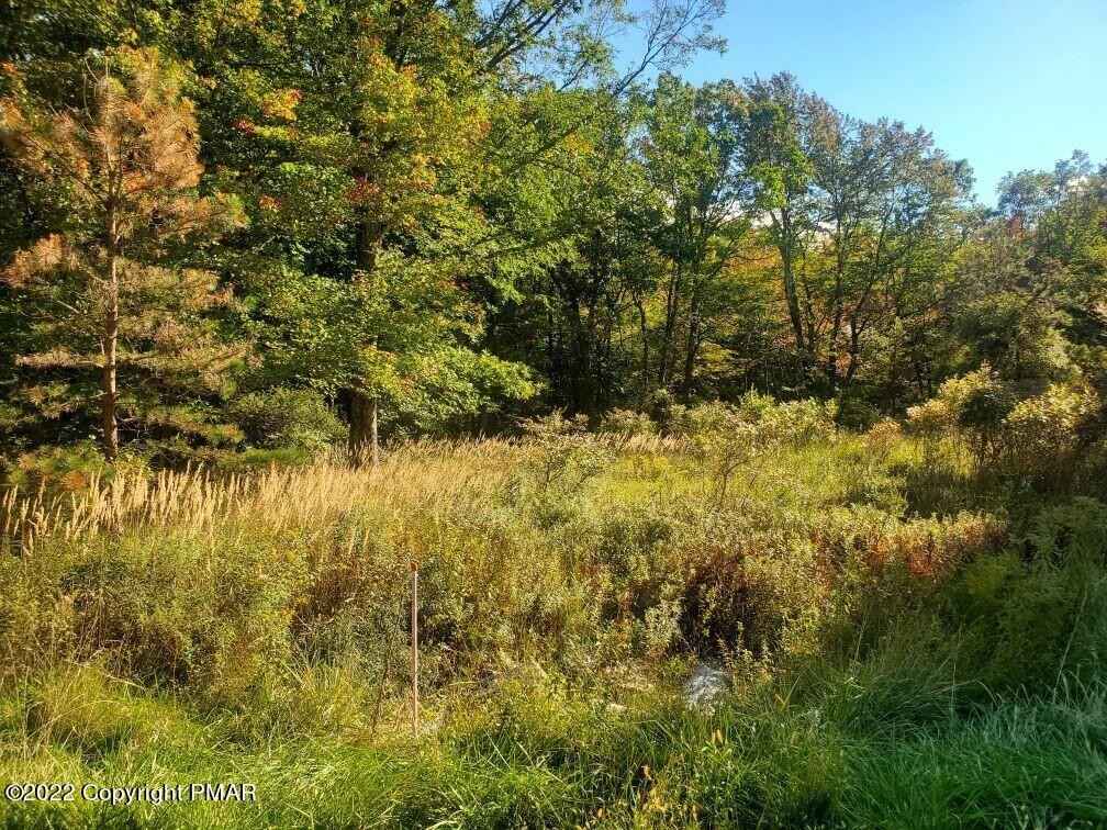Lot 611 Williams Ln  