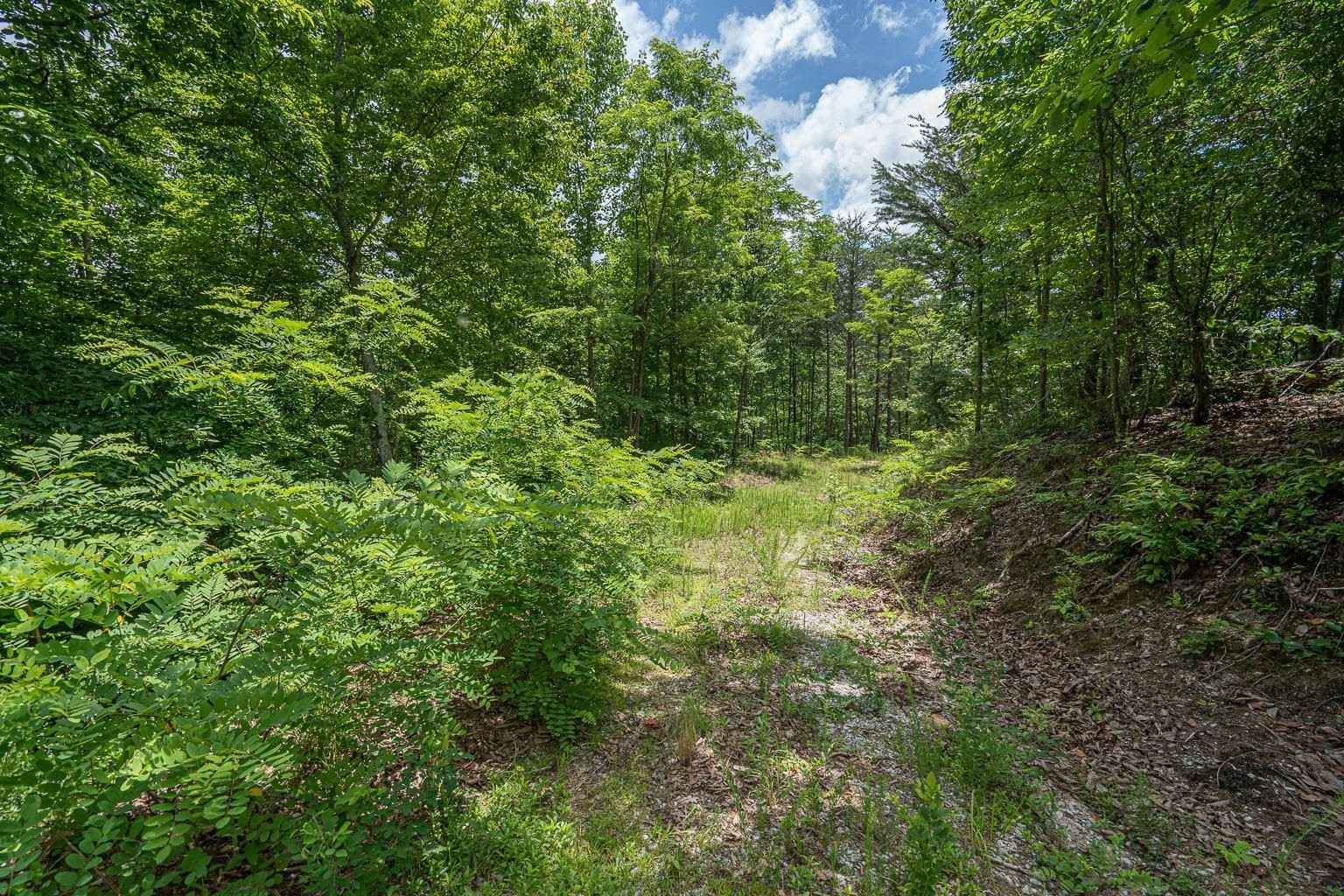 301 Blue Bonnett Trl  