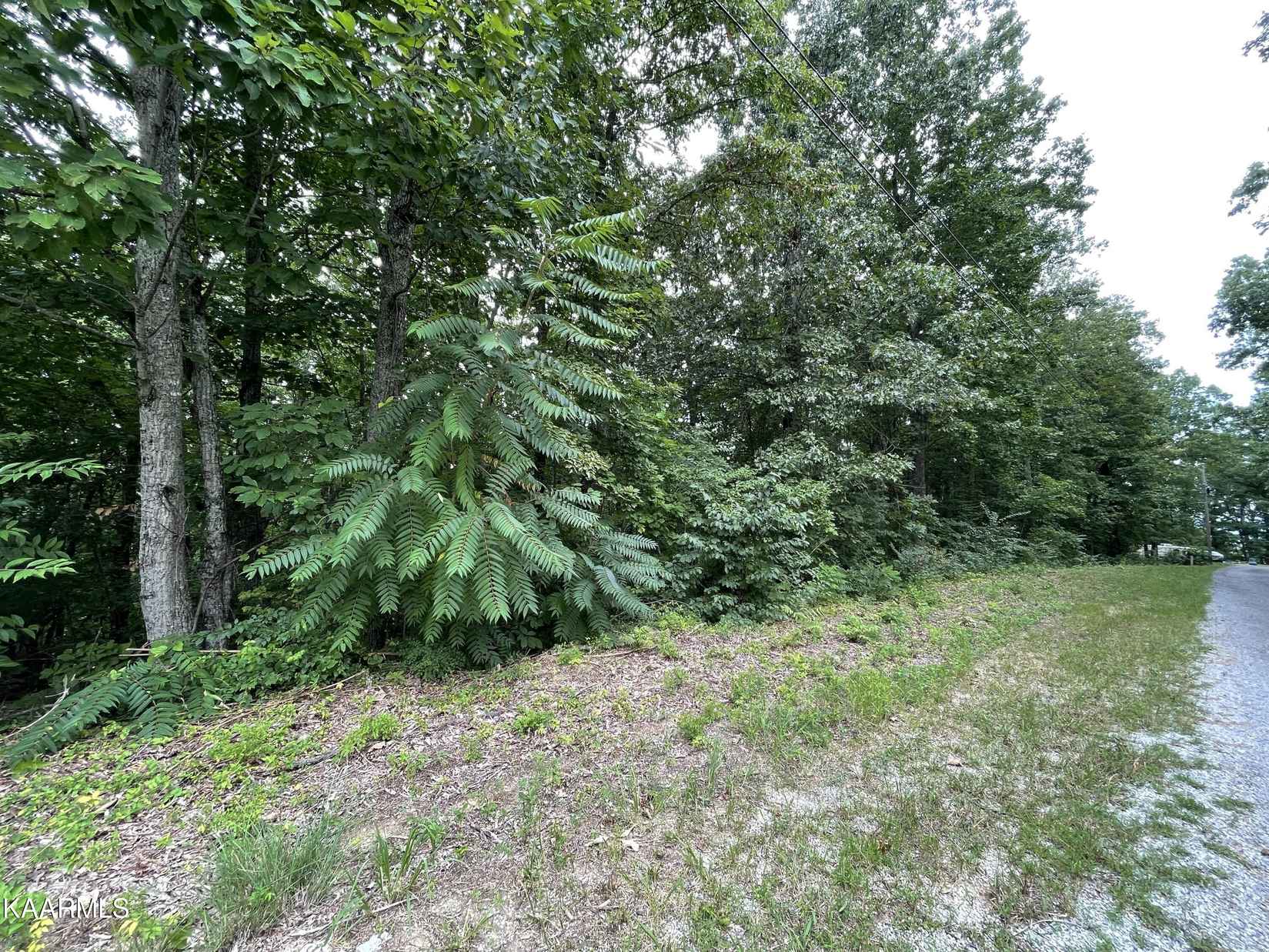 Lot 37 Pecan Tree Ln  