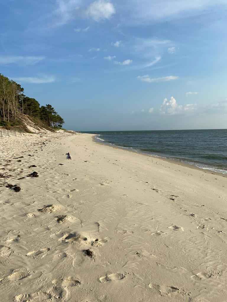 8 SAND Hl DR  