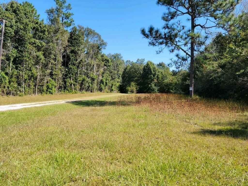 10475 Padgett Switch Rd  