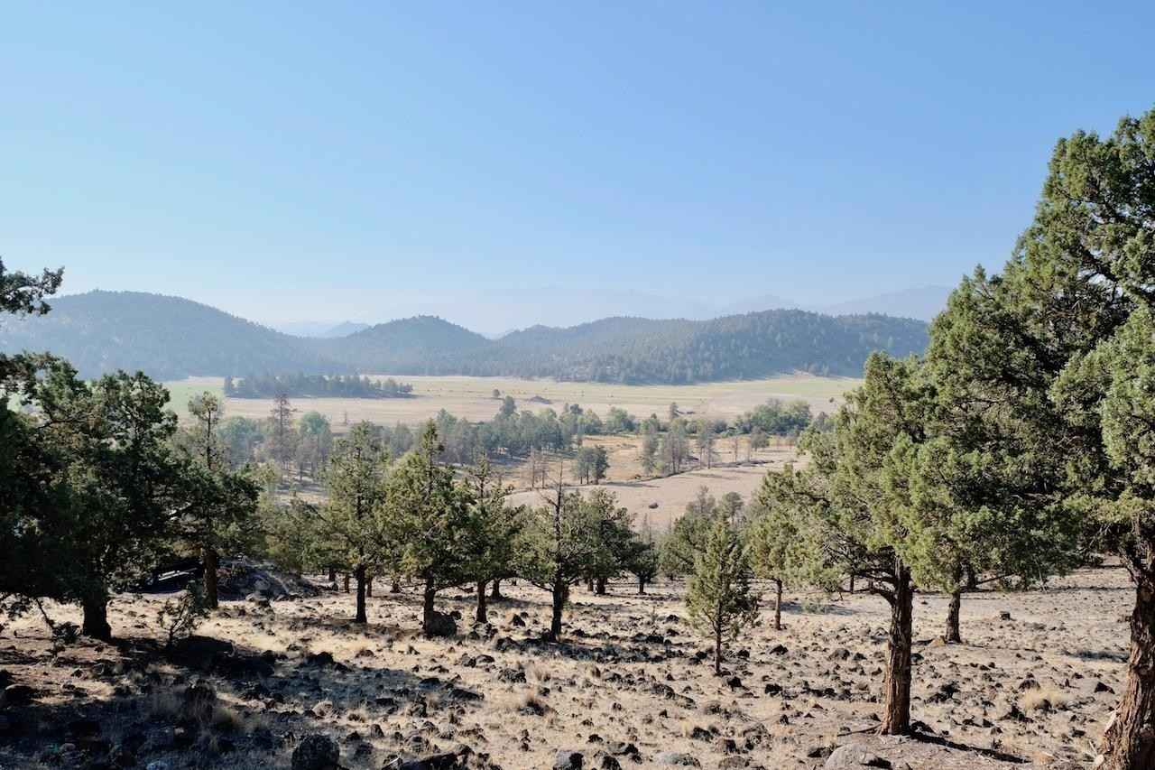 Lot 95 Wildhorse Rd  
