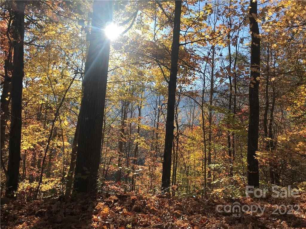 13 Ruffed Grouse Ln  