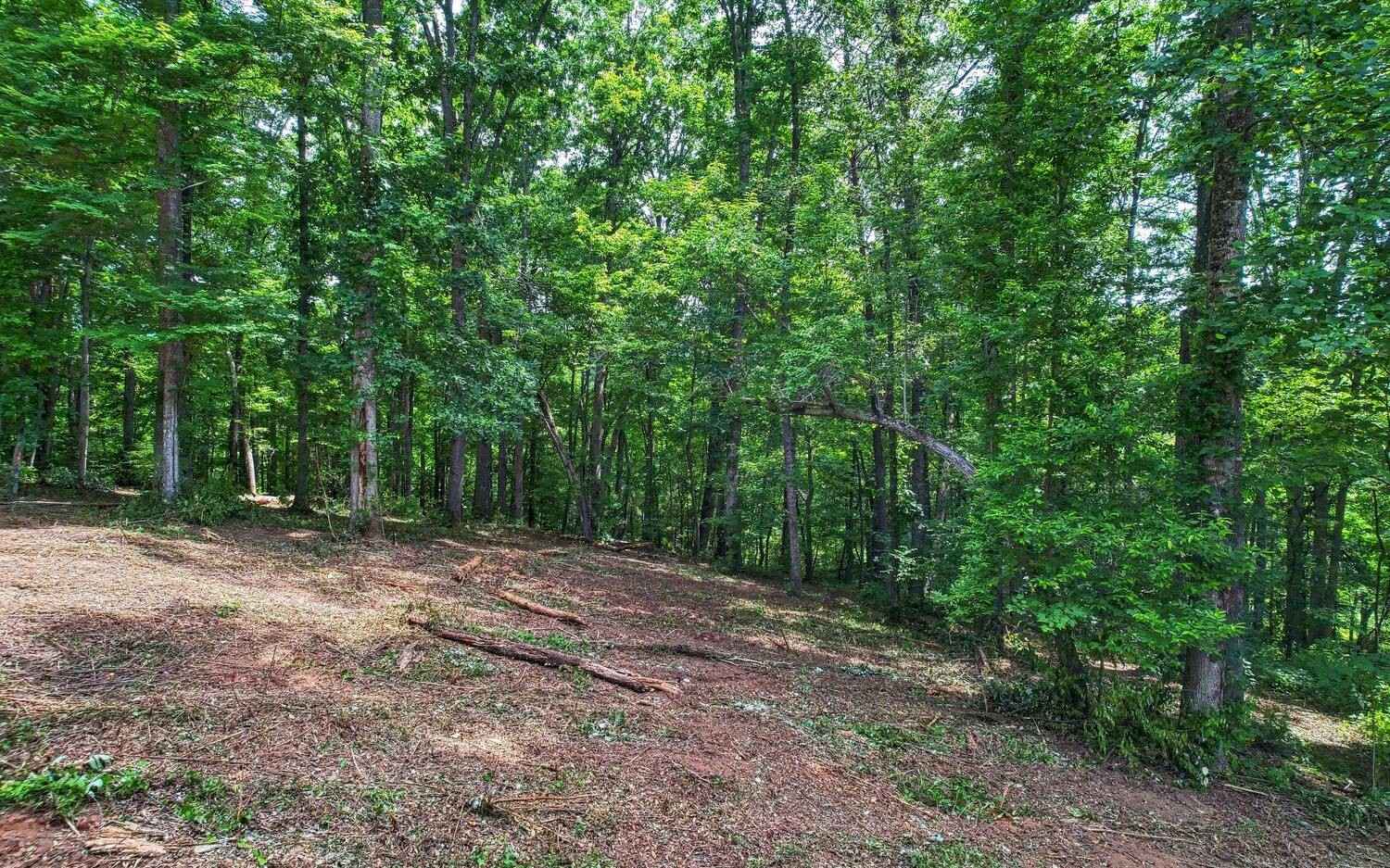 The Preserve Lot 91  