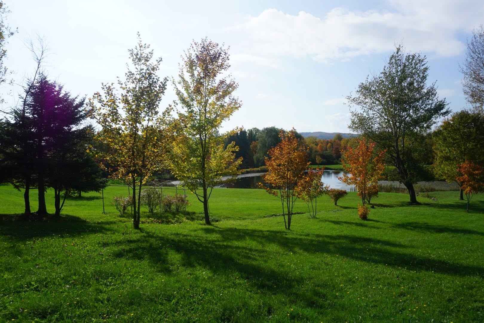 Lot 1 Chapin Rd  